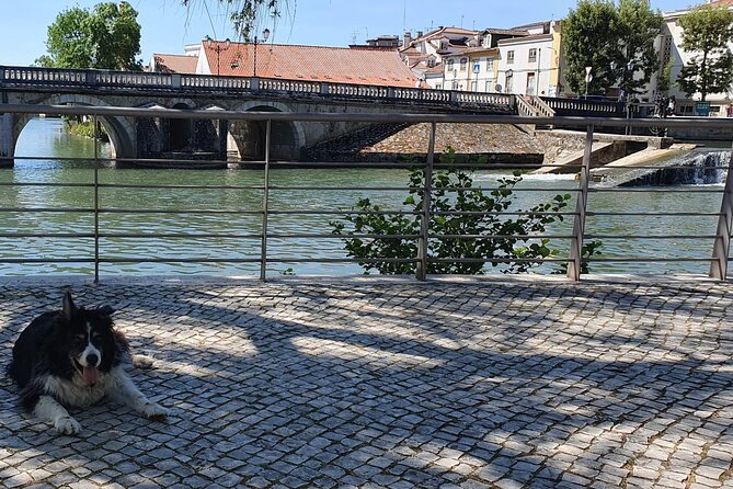 Tomar Templars, Legends, Ghosts and Gore as Told by an Englishman - Tips for Visiting Tomar Templars
