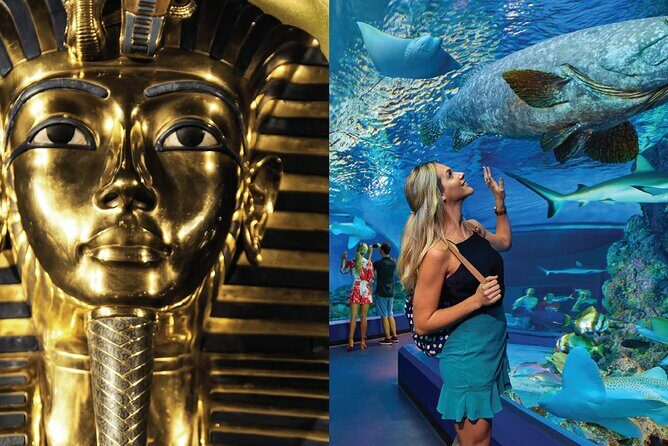 Tomb of the Pharaohs and Cairns Aquarium Combo - The Tomb of the Pharaohs: A Mini Egyptian Adventure