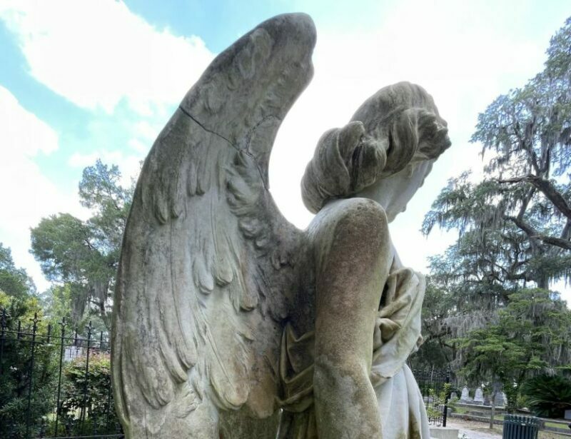 Tombs of Savannah: Bonaventure Cemetery Experience - Reviews and Authentic Feedback