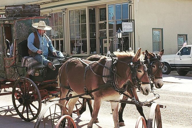 Tombstone and Bisbee Sightseeing Tour With Saguaro N.P. - Old West Highlights