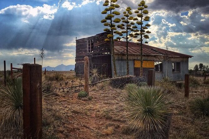 Tombstone & San Xavier, How the West Was Won! - Tour Experience