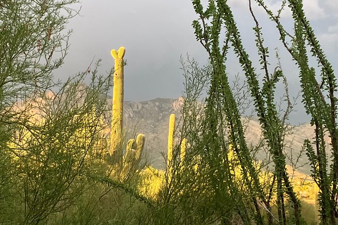 Tombstone & San Xavier, How the West Was Won! - Customer Reviews