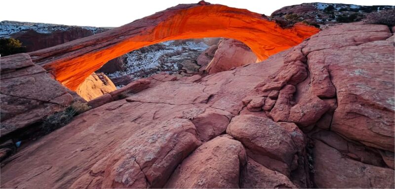 Tonalea: Guided Eggshell Arch Hike W/ Day or Sunset Options - Discovering Local Flora and Fauna