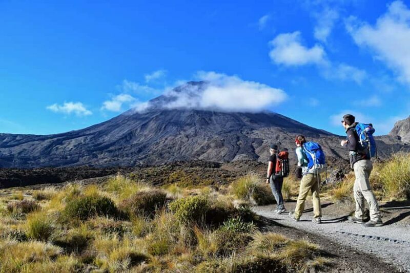Tongariro Alpine Half Day Guided Group Walk - Practical Details and Considerations