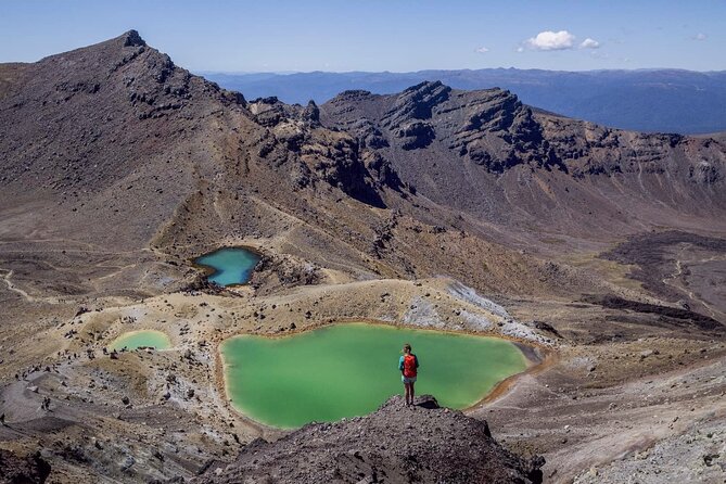 Tongariro Crossing Parking Lot & Shuttle One Way - Customer Feedback Highlights