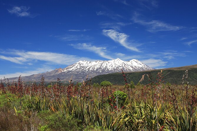 Tongariro Discovery Walk - Logistics and Accessibility