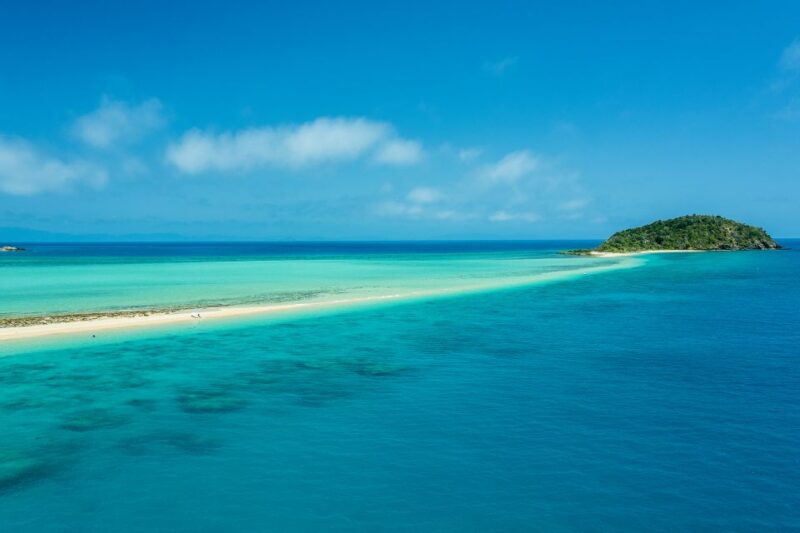 Tongarra: All-Inclusive Day Sail - Immersive Eco-Talks on Marine Life