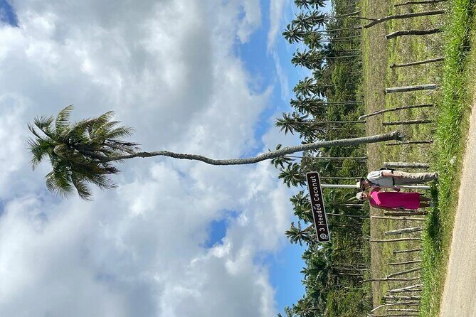 Tongatapu West Coast N East Coast Island Tour - A Closer Look at the Itinerary