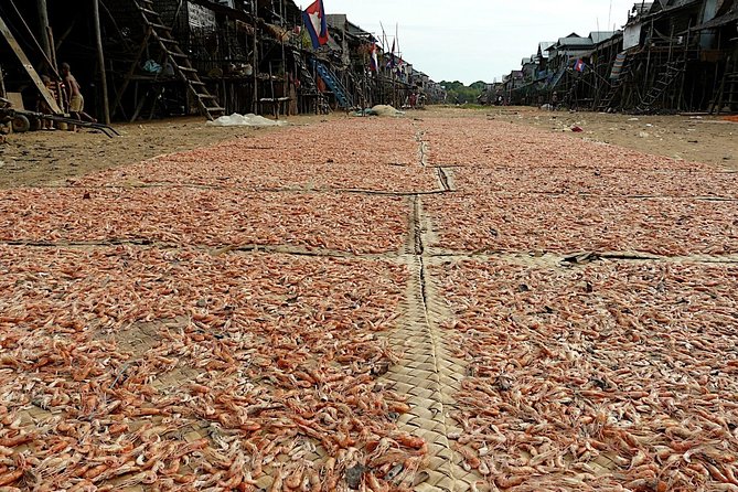 Tonle Sap Lake & Kampong Phluk Half-Day Tours From Siem Reap - Participant Eligibility