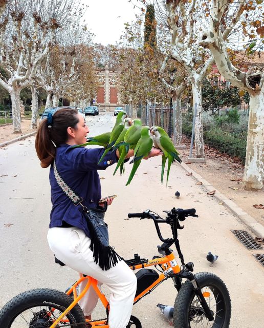 Top-25 Sights Guided City Tour by Bike/eBike - Highlights