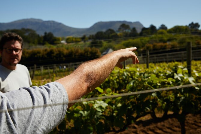 Top 3 Cape Town Wineries Half Day Private Tour - Booking Information