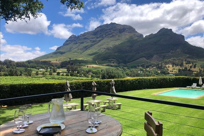 Top 5 Wineries in Cape Town Private Tour and Wine Tasting - Exploring Marianne Wine Estate