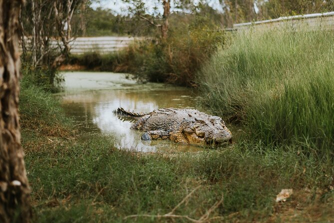 Top End Safari Camp Day Tour - Group Size