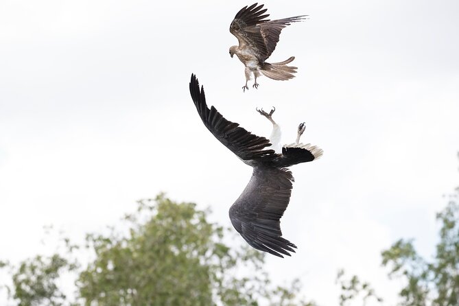 Top End Safari Camp Day Tour - Cancellation Policy