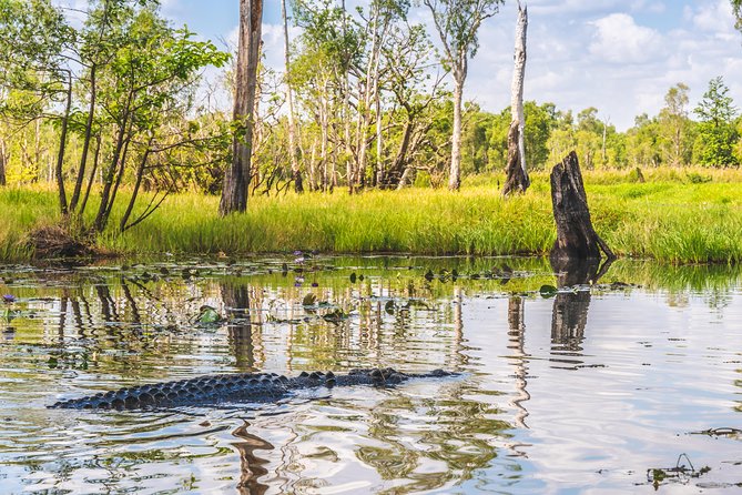 Top End Safari Camp Overnight Tour - Meeting and Pickup Options