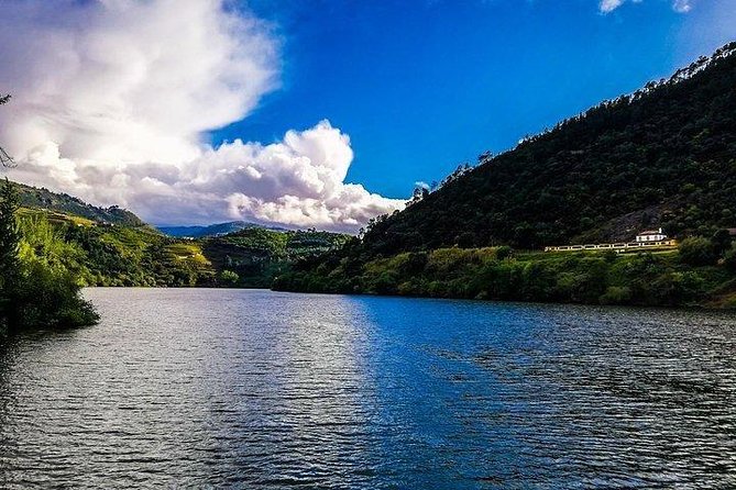 Top Highlights of Douro Valley From Porto Full Day Private Tour - Tastings and Pairings