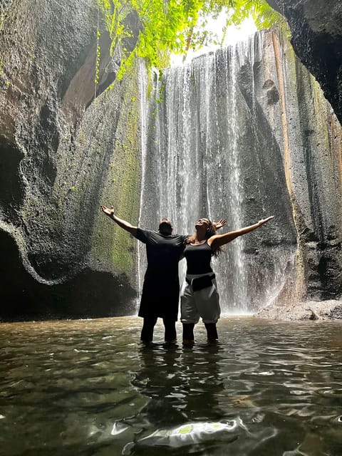 Top Highlights Ubud Private Day Tour - Inclusions
