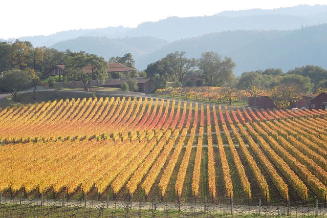 Top Notch Napa Valley Private Custom Tour - Accessibility and Policies