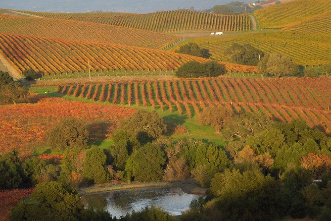 Top Notch Napa Valley Private Custom Tour - Booking and Pricing