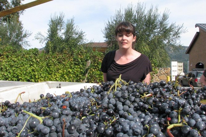 Top Notch Napa Valley Private Custom Tour - Highlights of Napa Valley