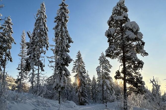 Top of Oslo/Starlight Evening Snowshoeing Tour(s) - Meeting and Pickup Details