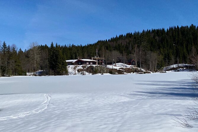 Top of Oslo/Starlight Evening Snowshoeing Tour(s) - Tour Reviews