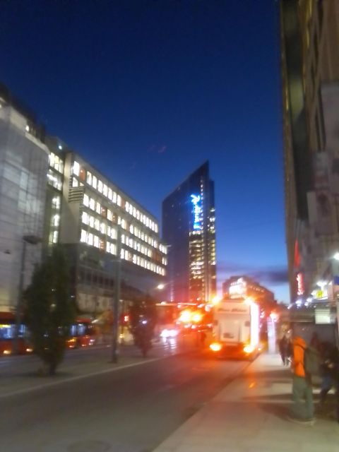 Top Oslo Tour (Town, Bazaar, History, Culture, Nature, Sea) - Exploring Oslos Sea