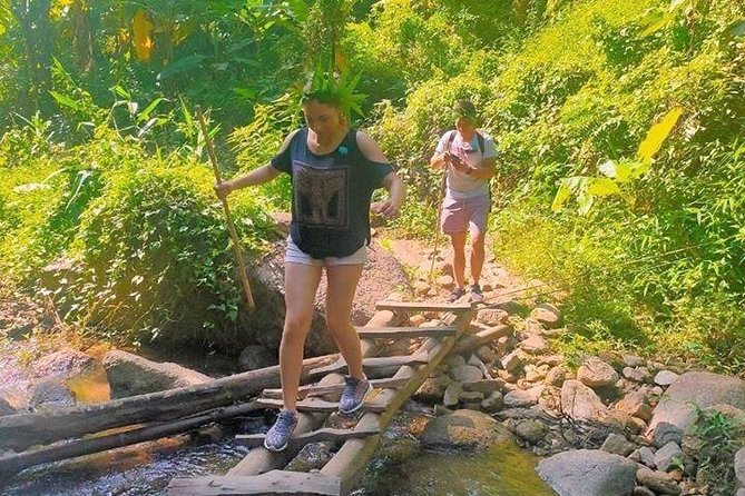 Top Pick - Full or Half Day at Elephant in Wild Sanctuary Chiang Mai - Key Points
