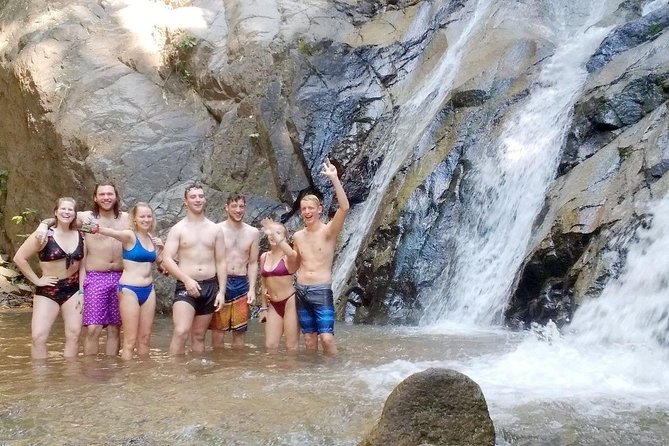 Top Pick - Full or Half Day at Elephant in Wild Sanctuary Chiang Mai - Trekking Through the Jungle Landscape