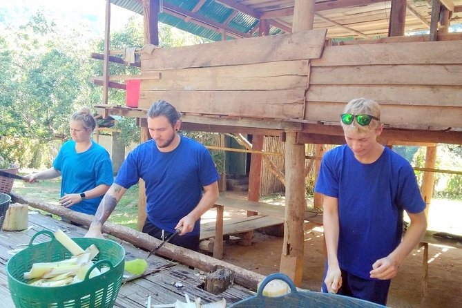 Top Pick - Full or Half Day at Elephant in Wild Sanctuary Chiang Mai - Whitewater Rafting in the Rainforest