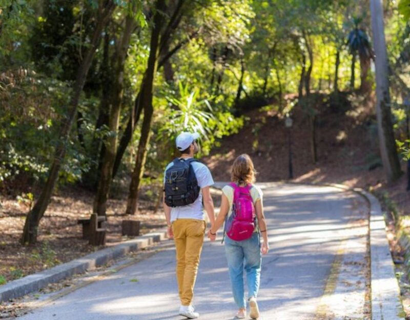 Top-Rated Private Custom Corfu Tour - Key Points