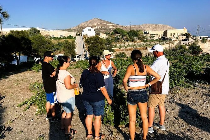 Top Santorini Attractions Highlights Day Tour 7 Hours - Accessibility and Participation