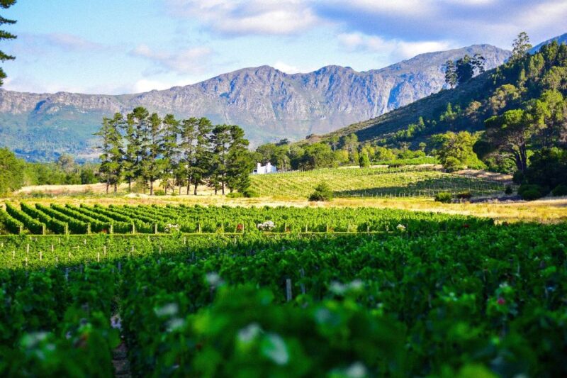 TOP THREE WINELANDS PRIVATE TOUR With Pairings - Key Points
