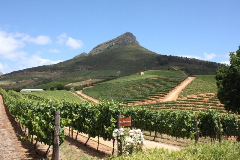 TOP THREE WINELANDS PRIVATE TOUR With Pairings - Guided Tour With Water