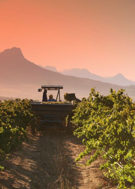 TOP THREE WINELANDS PRIVATE TOUR With Pairings - Frequently Asked Questions
