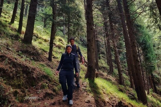 Top Tibba Trek - Mussoorie - Meeting and Pickup
