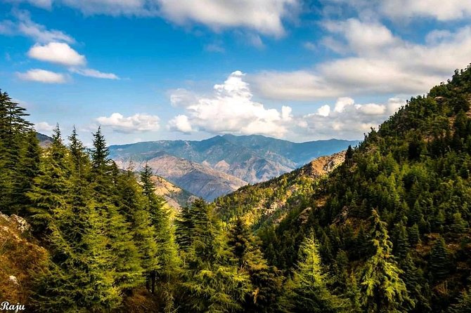 Top Tibba Trek - Mussoorie - Reviews and Pricing