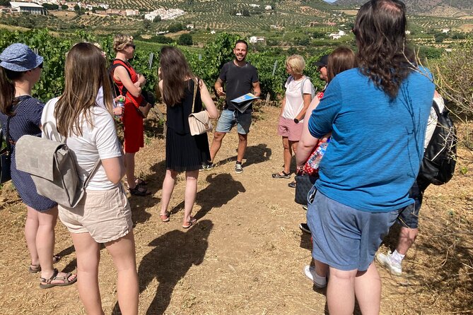 TOP WINE TOUR - Vineyard & Cellar Visit + 6 TOP Wines + Tapas - Key Points