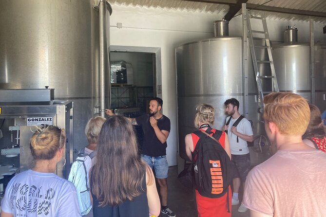 TOP WINE TOUR - Vineyard & Cellar Visit + 6 TOP Wines + Tapas - Indulge in 6 Top-Notch Wines