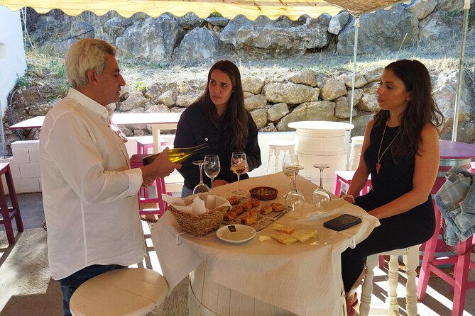 TOP WINE TOUR - Vineyard & Cellar Visit + 6 TOP Wines + Tapas - Savor Delectable Tapas Accompaniment