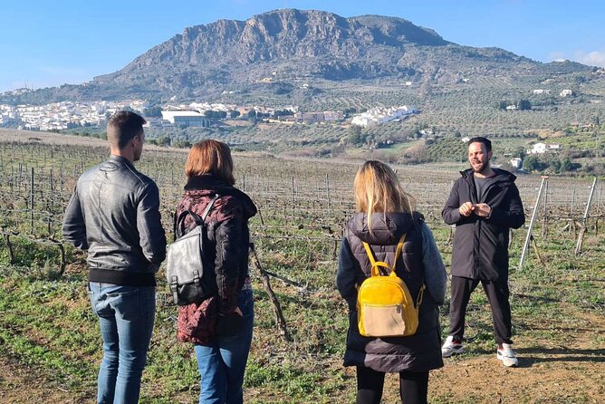 TOP WINE TOUR - Vineyard & Cellar Visit + 6 TOP Wines + Tapas - Climate-Controlled Transportation for Comfort