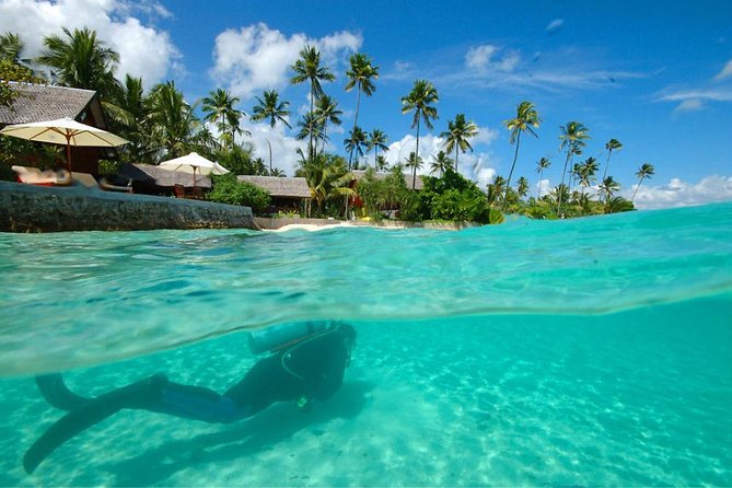 Toraja Bugis Tour Trip to Wakatobi Marine Park 14 Days/ 4pax Min - Key Points