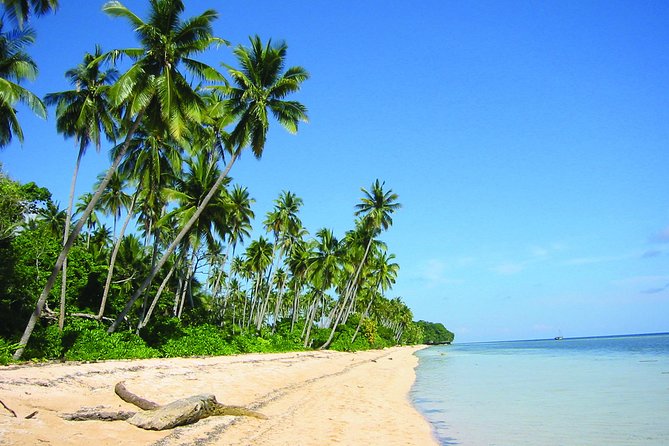 Toraja Bugis Tour Trip to Wakatobi Marine Park 14 Days/ 4pax Min - Meeting and Pickup
