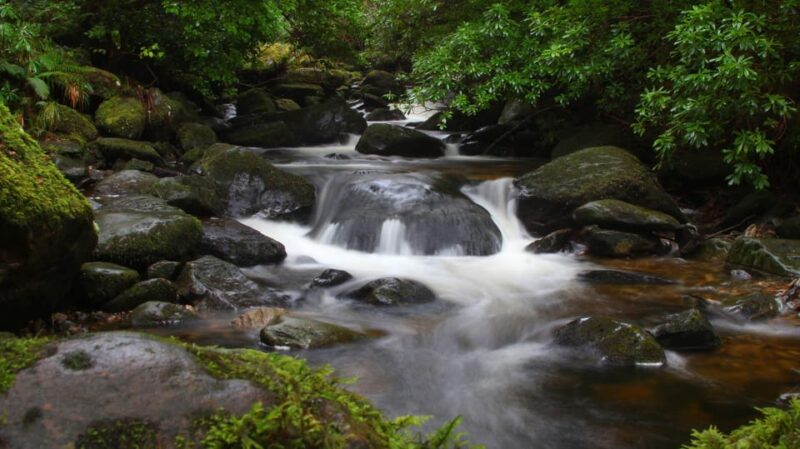 Torc Waterfall & Mountain Hike. Kerry. Private Guided. - Ascend Torc Mountain