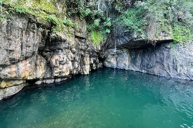 Toro Negro River Hike & Cliff Jumping Adventure; San Juan Pick Up - About Your Stay