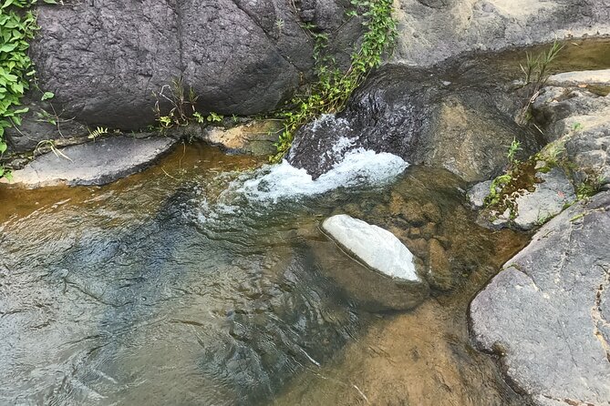 Toro Negro River Hike & Cliff Jumping Adventure; San Juan Pick Up - Ratings and Reviews