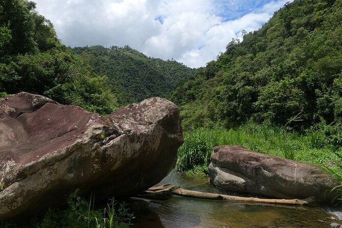 Toro Negro River Hike & Cliff Jumping Adventure; San Juan Pick Up - Highlights of the Experience