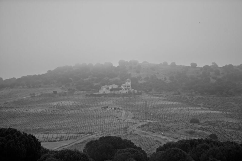 Toro: Piedra Winery Tour and Tastings - Key Points
