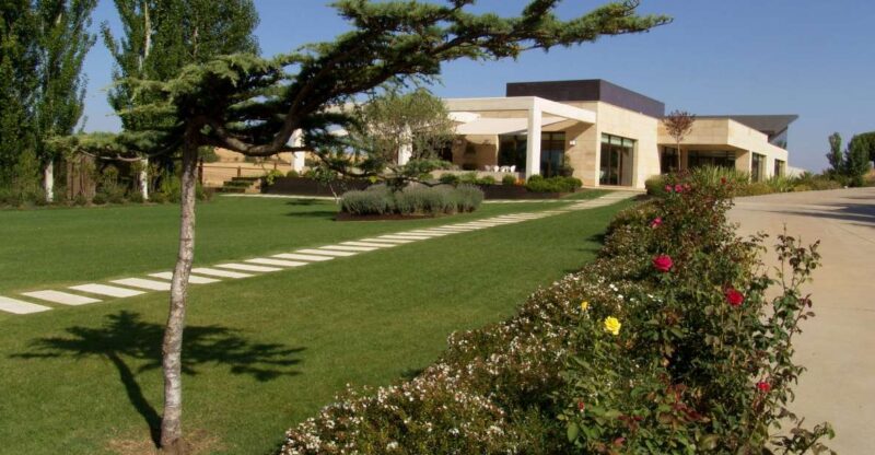 Toro: Piedra Winery Tour and Tastings - Winery Location and History