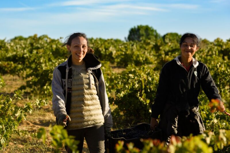 Toro: Piedra Winery Tour and Tastings - Language and Accessibility